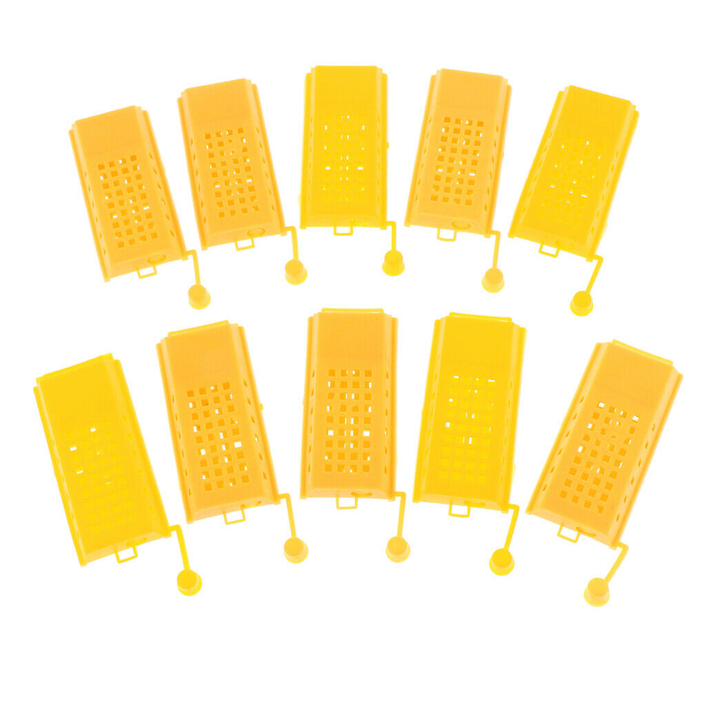 10 Pieces Beekeeping Tools Bee Cage To Catch With Bees Wild