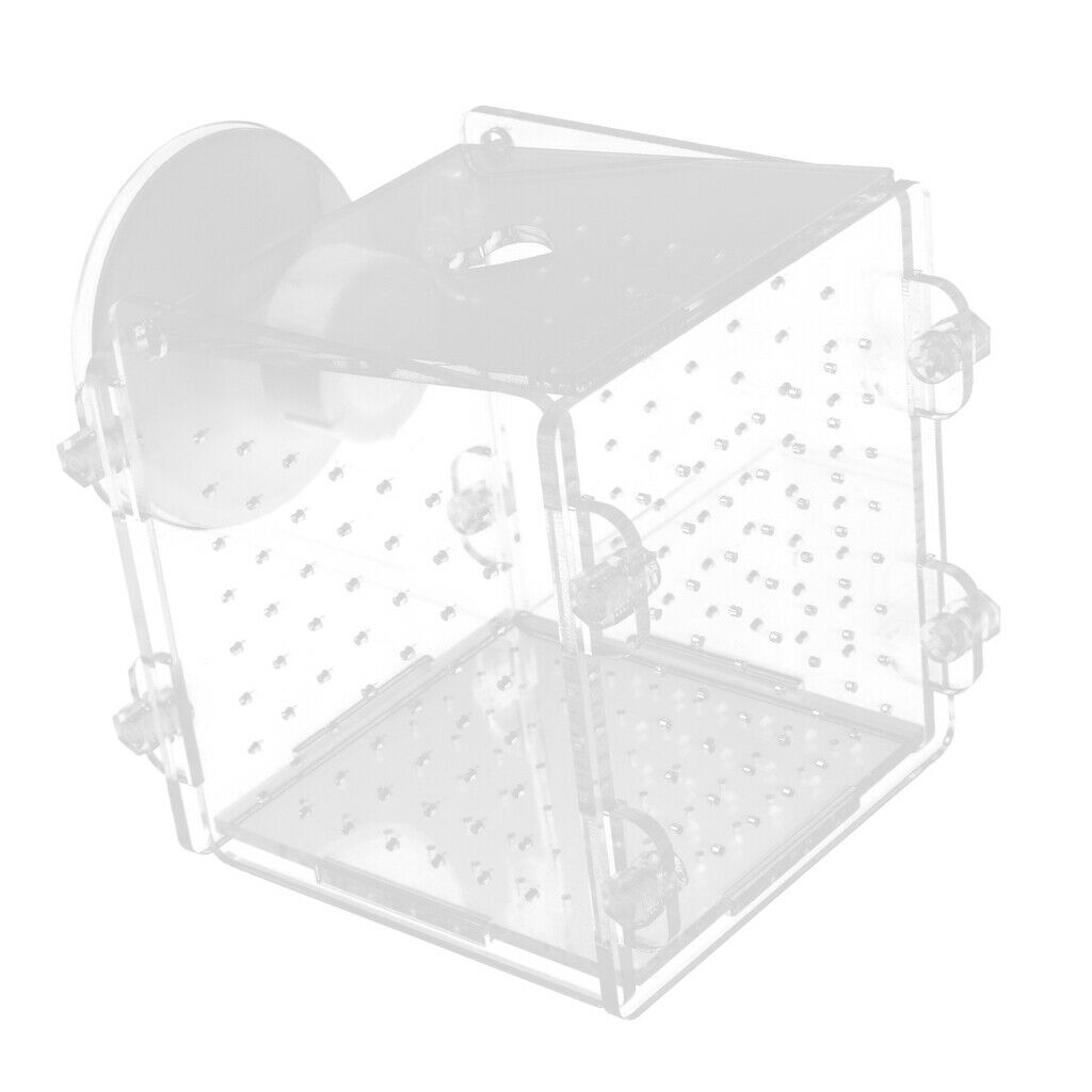 2 pcs Acrylic Aquarium Young Fish Breeding Hatchery Incubator Isolation Box