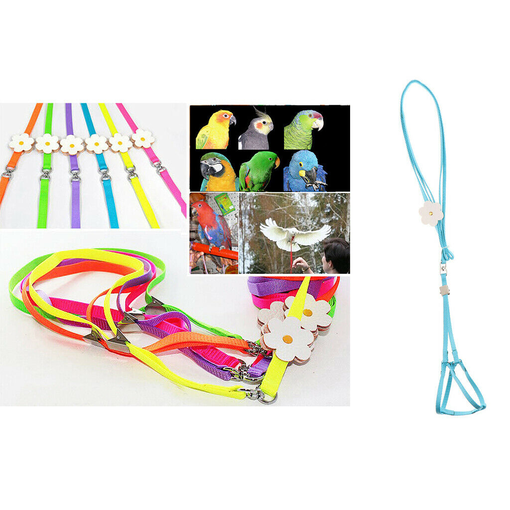 2 Pieces Safe Pet Rope Light Leash Carrying Durable Bird Rope Suitable for