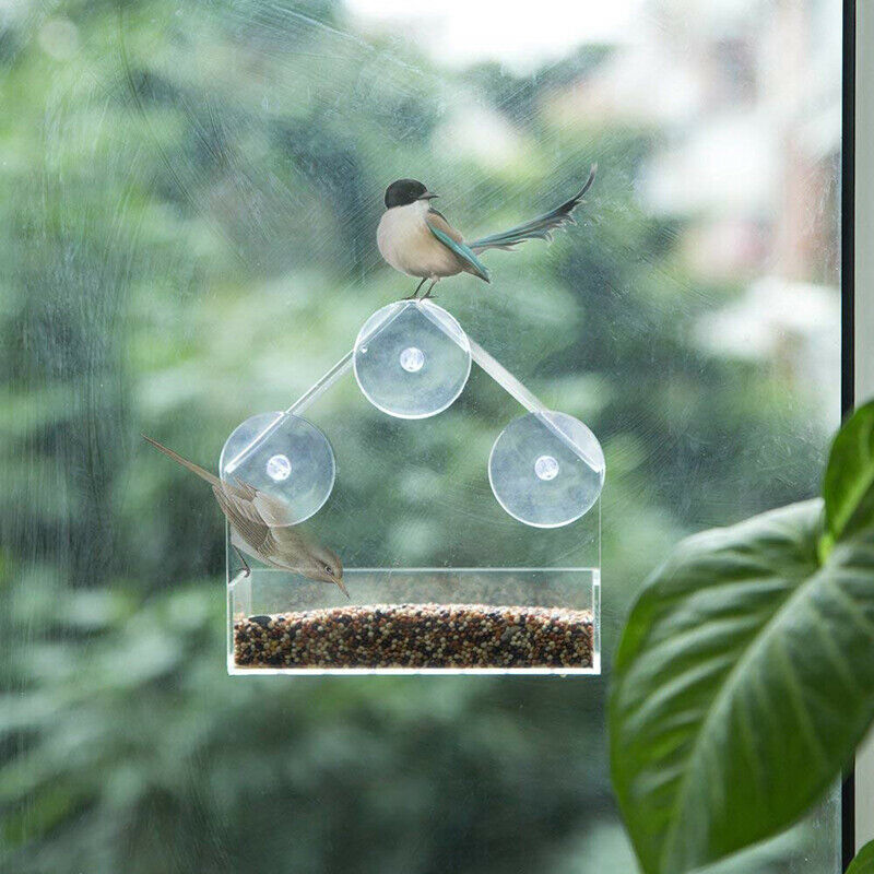Acrylic Transparent Window Viewing Bird Feeders Tray Birdhouse Pet Water FeeBDA