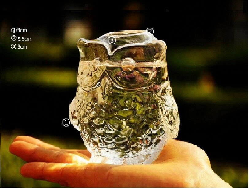 Glass Flower Planter Hydroponic Vase Terrarium Container