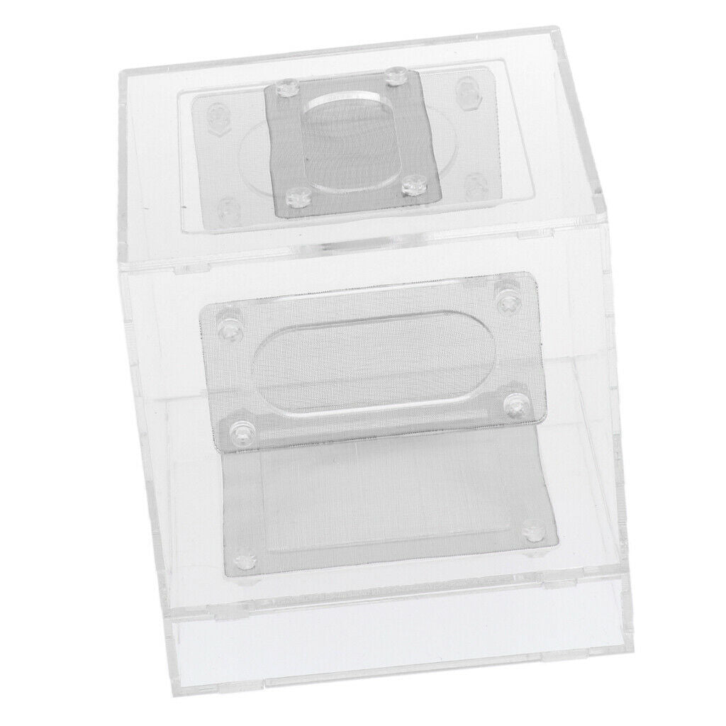 Small Reptile Lizard Spider Scorpion Insect Vivarium Feeding Rearing Box
