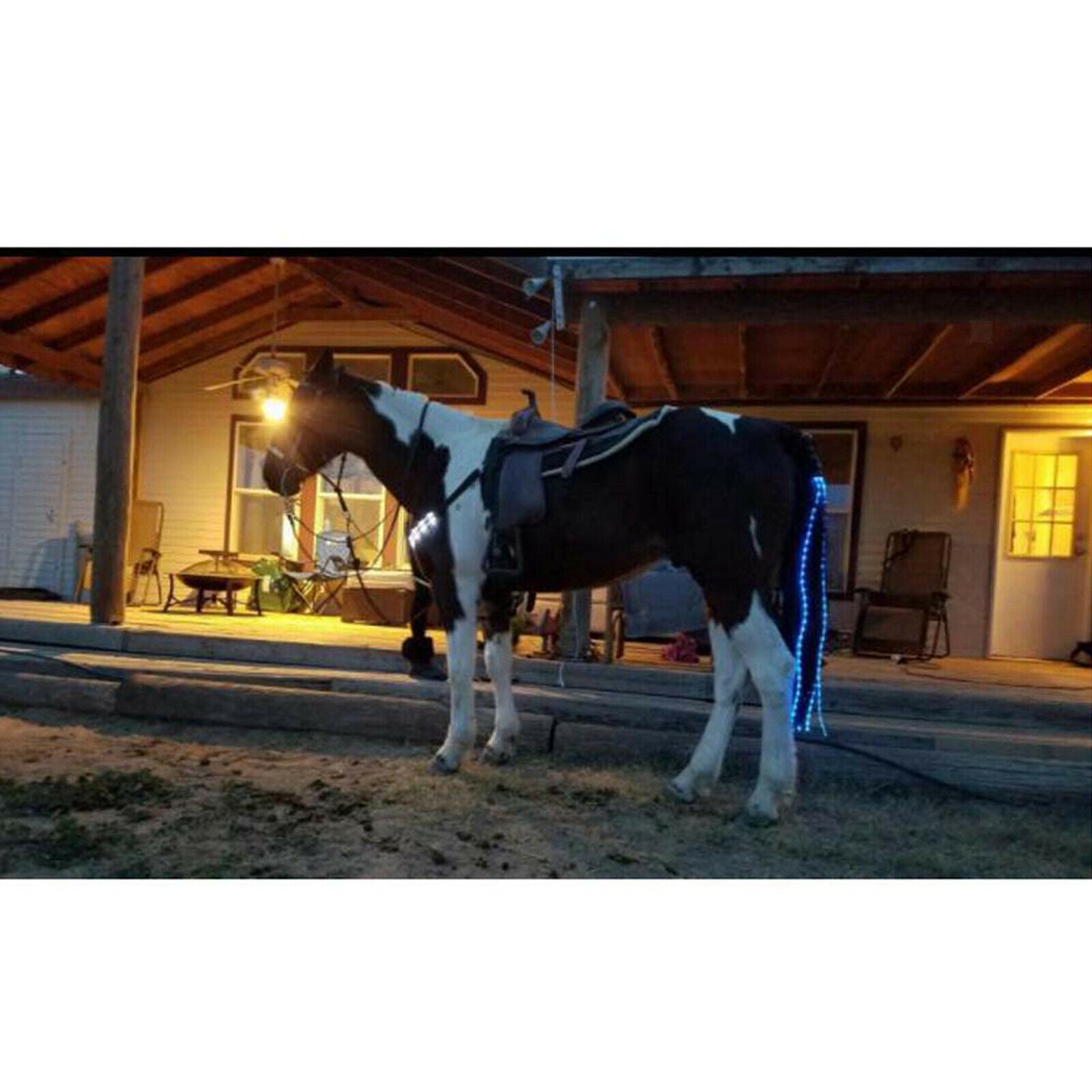 LED Horse Tail Light USB Adjustable Ponytail Lamp Pony Harness Lights Accessory