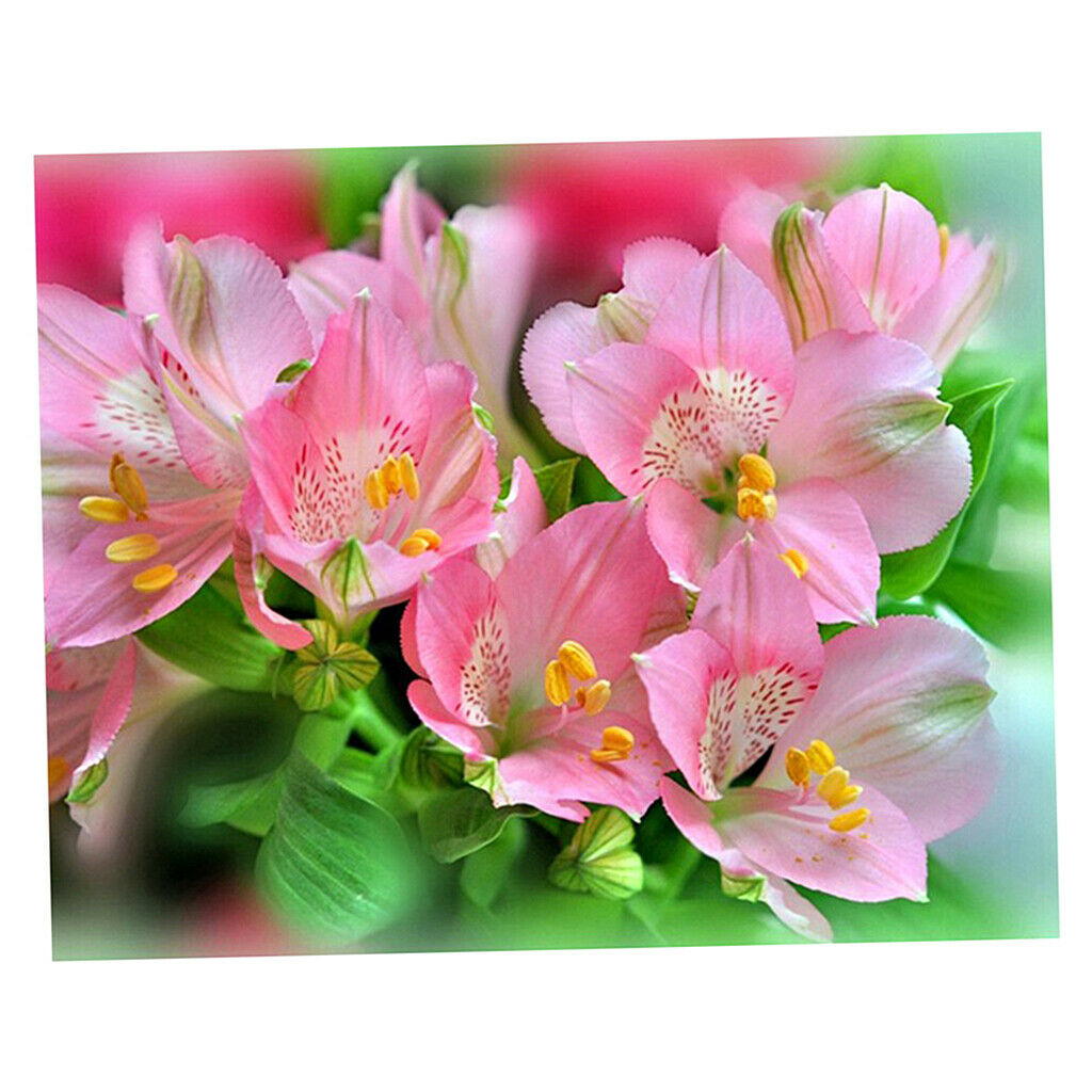 Pink Flowers DIY 5D Diamond Painting Embroidery Cross Stitch Kit Home Decor