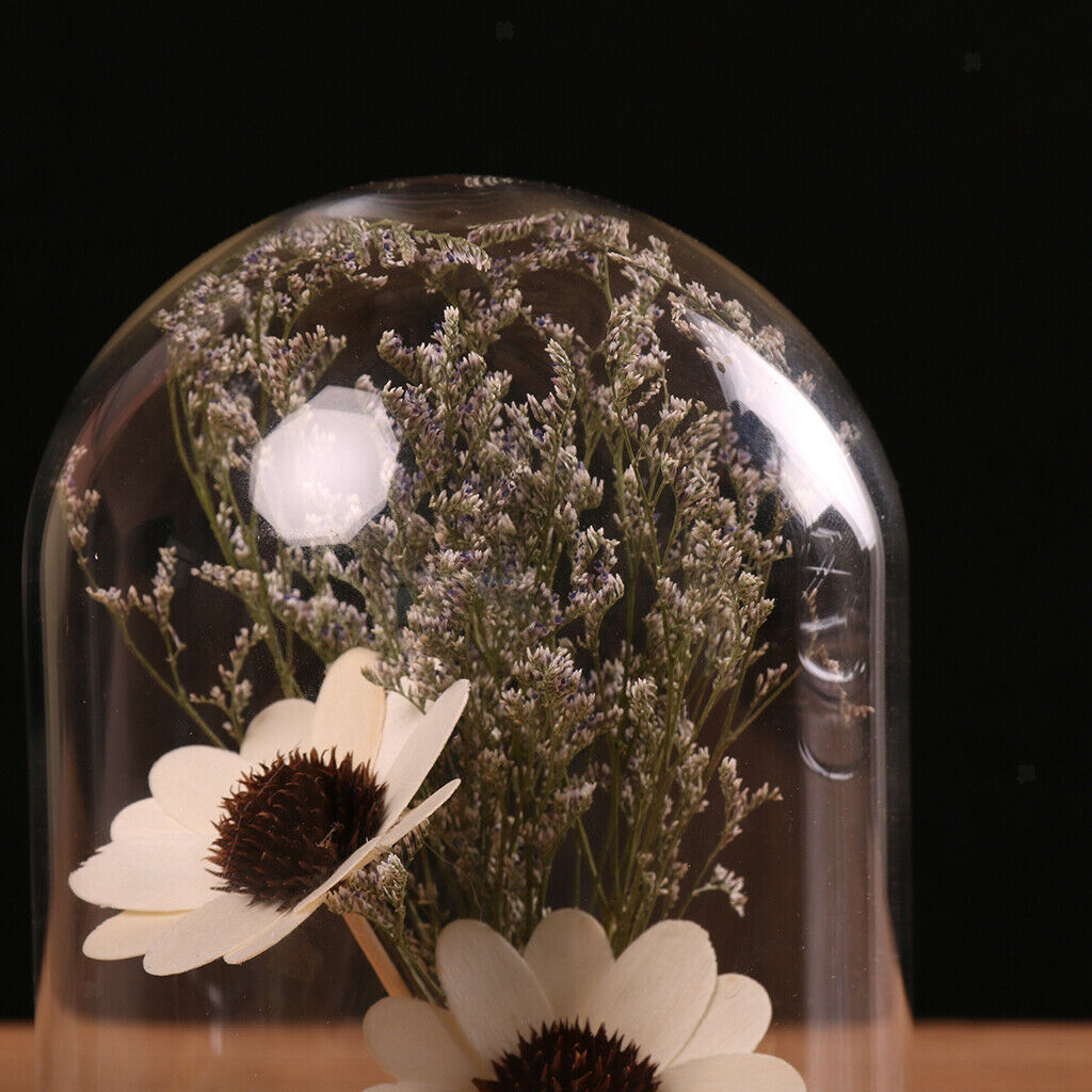 Glass Cover Landscape Vase Pot Terrarium Plant Flowers Decoration #4 12x18