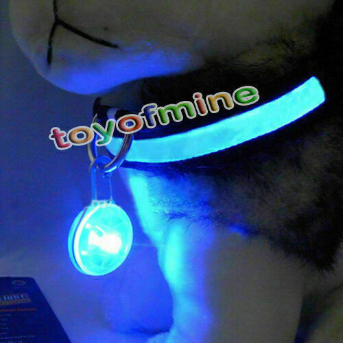 5XChic Fabulous Pet Dog Cat Puppy LED Flashing Collar Safety Night Light Pendant