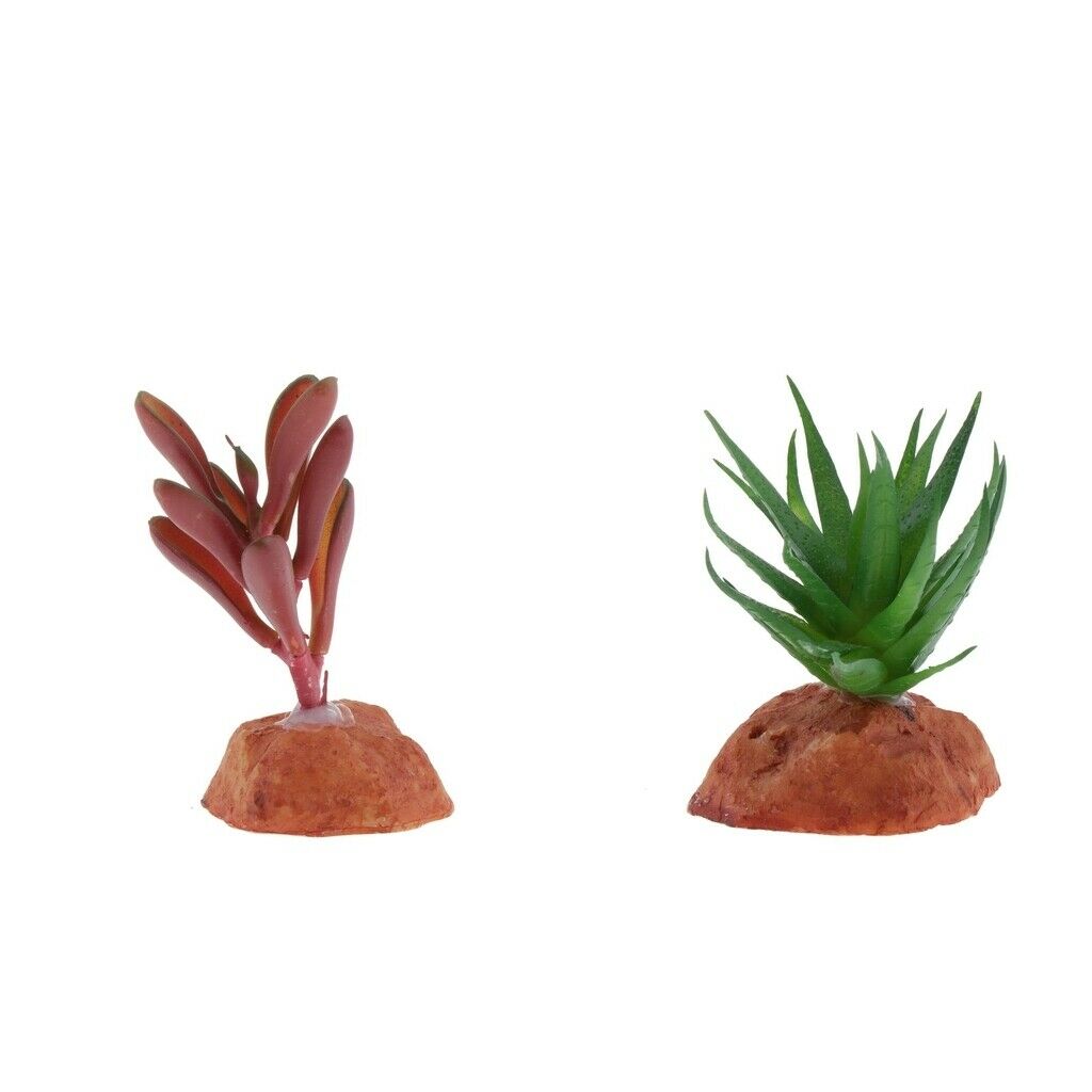 Aquarium Fish Tank Landscaping Plants Ornaments Reptile Hideaway Hide Cave