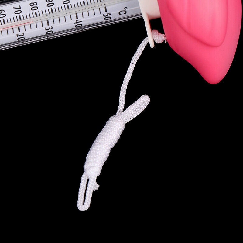 Swimming Pool Thermometer Water Thermometer Cartoon Flamingo Shape Thermome TL