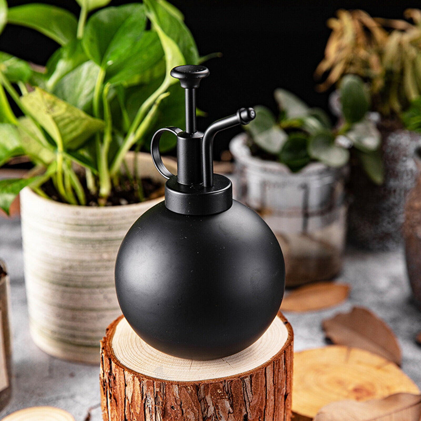 Watering Spray Bottle 6.3 Inches Tall Plant Mister Succulent Indoor Outdoor