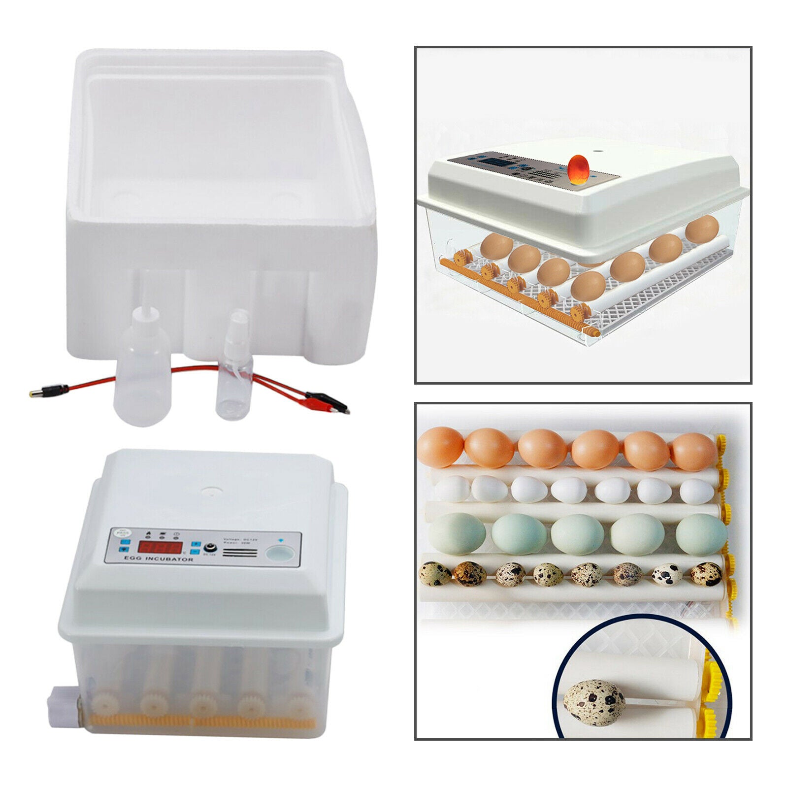 Automatic 16/36 Digital Chick Bird Egg Incubator Hatcher 16 Eggs