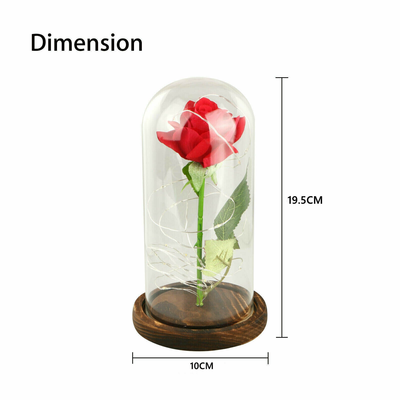 Beauty And The Beast Enchanted Rose In Glass Dome Light LED USB Lamp Decor Gift