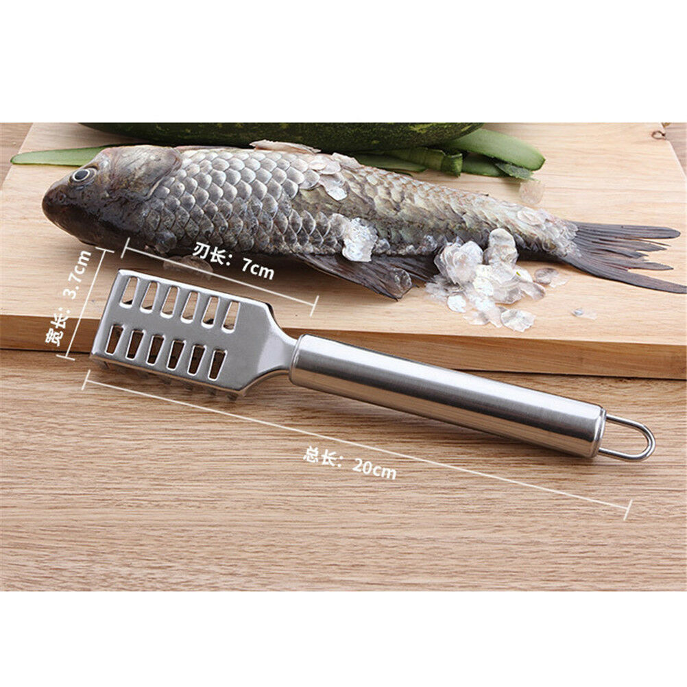 Stainless Steel Fish Scale Remover Cleaner Scaler Scraper Peeler Kitchen DD