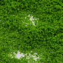 Light Green Grainy Shape Diy Foliage Sponge Leaves  Trees Pattern