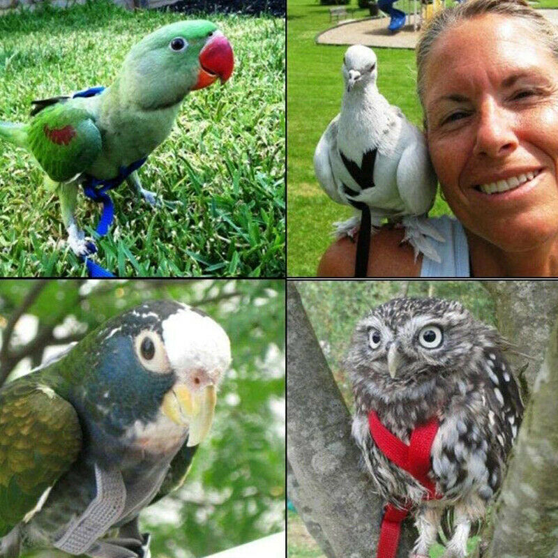 Adjustable Bird Harness Training Rope Harness and Lead Anti-Bite for Birds HN US