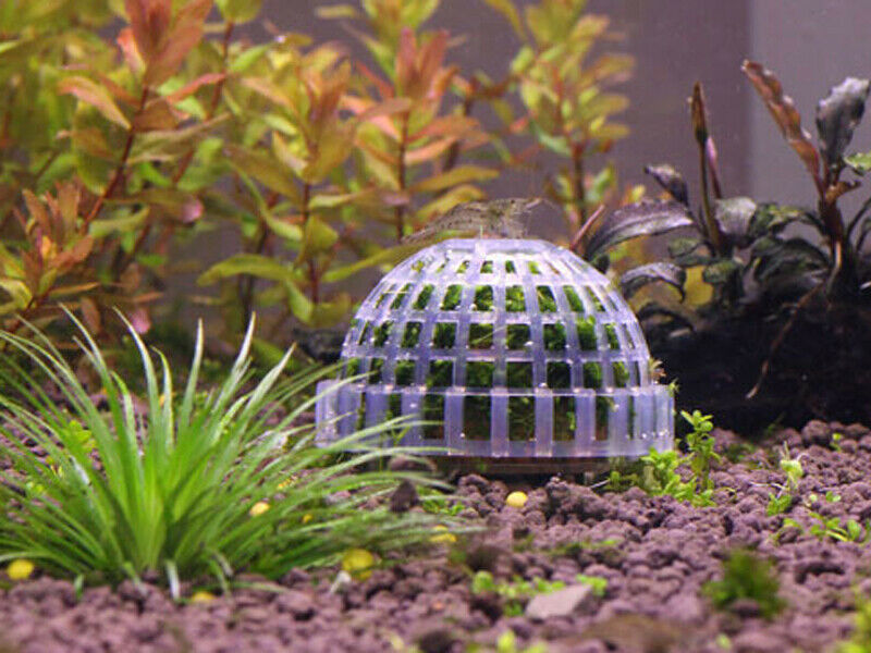 4pcs Dia. 5cm Aquarium Fish Tank Media Live Plant Moss Ball Filter Filtration