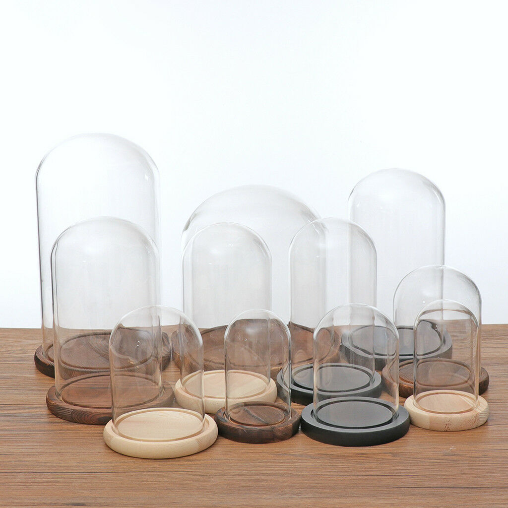 Glass Display Dome Cloche Bell Jar With Wooden Base for DIY Decor_Black C