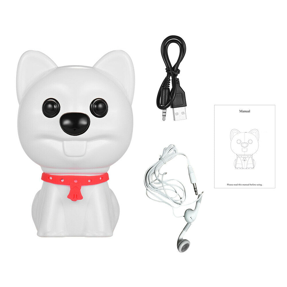 originality digital voice recorder voice-activated Dictaphone mini cute hidden