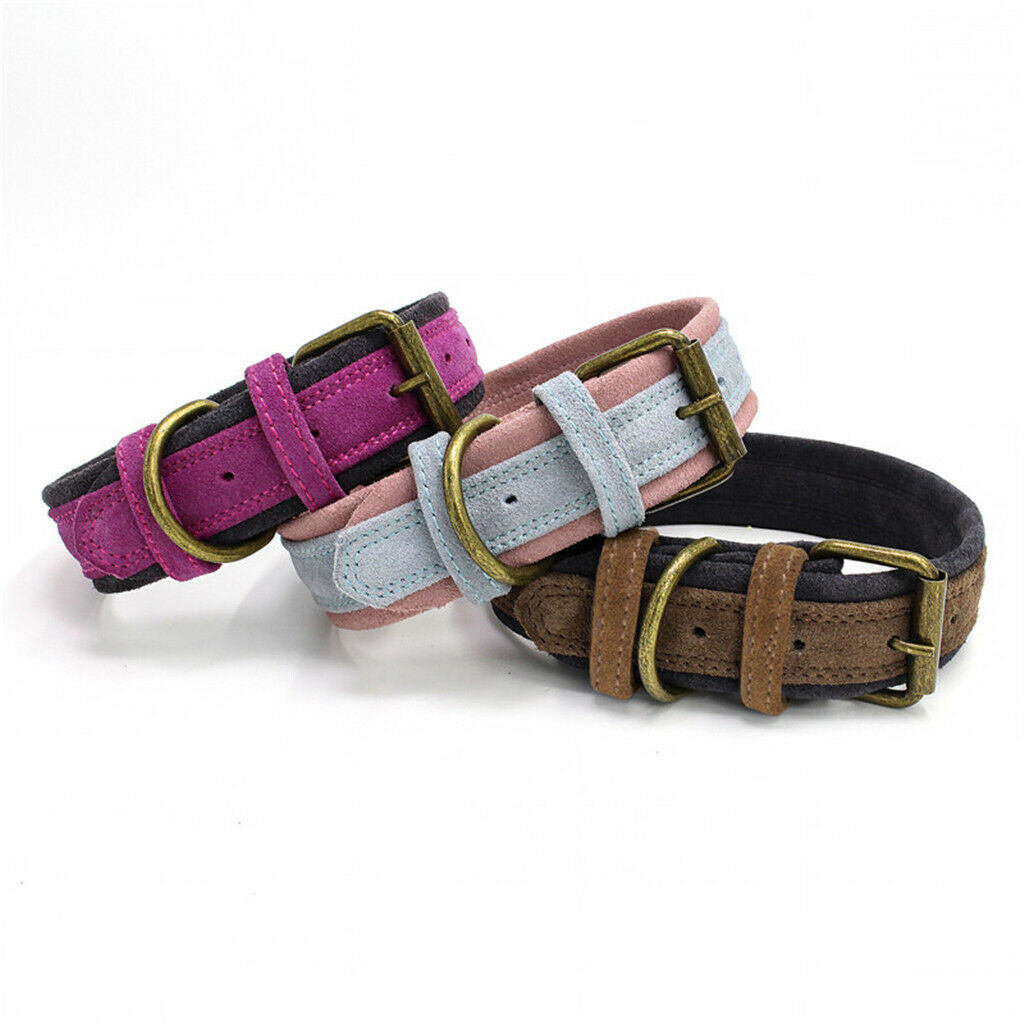 Traditional Brown/Red/Blue Adjustable Leather Pet Dog Collar Brown