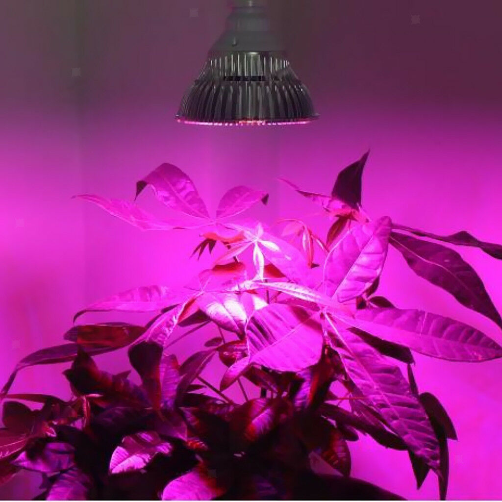 Full  LED Grow Light Indoor Grow Tent Plants Growth and Flowers 10W