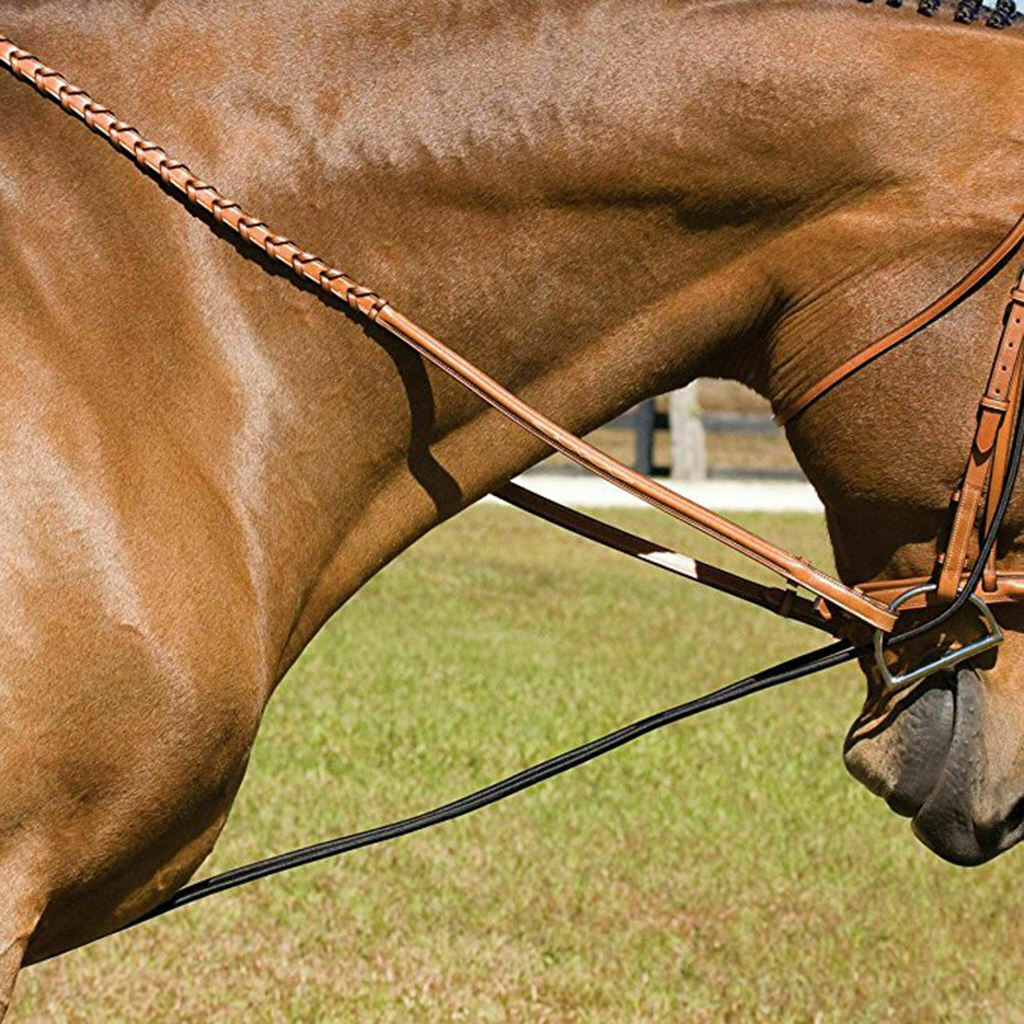 Black Horse Neck Stretcher Horse Training Grooming Tool 3 Meters Long