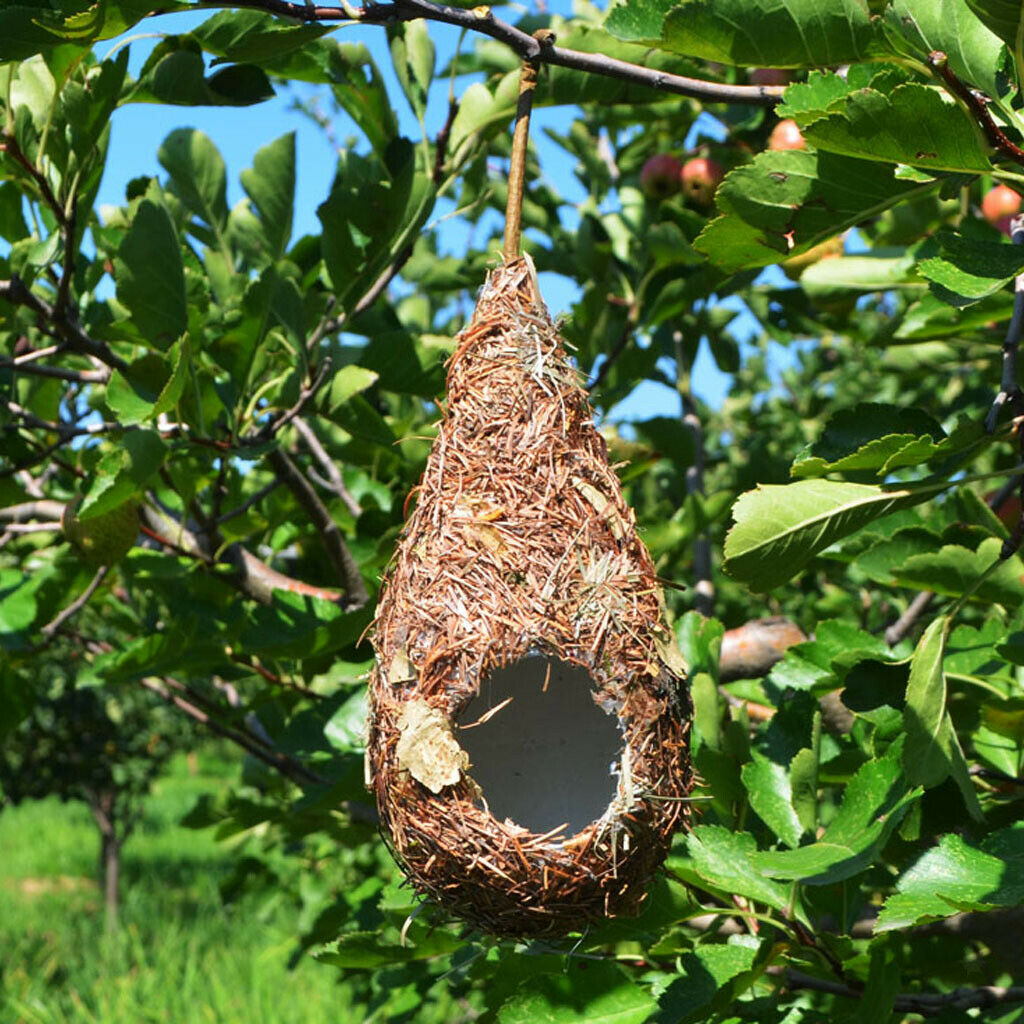 5 Pack Bird House, Hanging Birdhouse Hummingbird Nest Fiber Hand-Woven Roosting