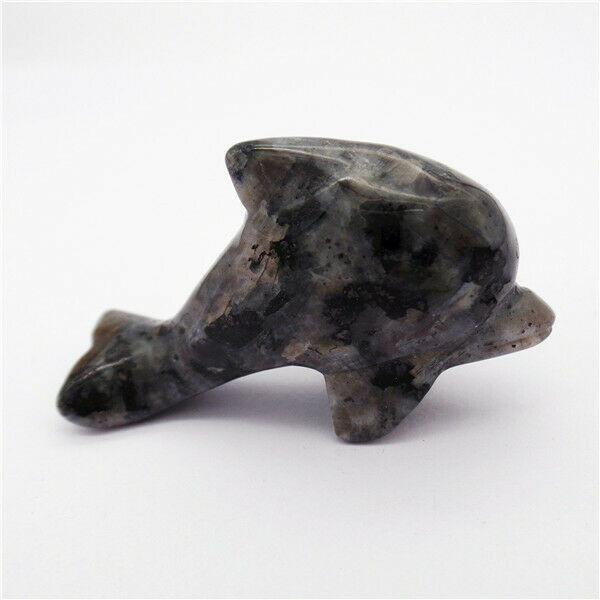 50x28x15mm Natural Black Labradorite Dolphin Statue Healing Decoration HH8136