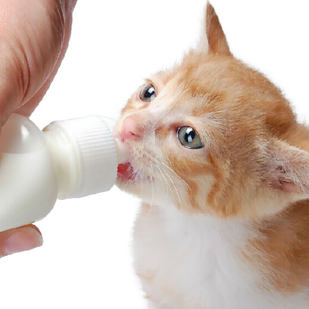 2x cat dog milk bottle puppy kitten baby animal feeding bottle