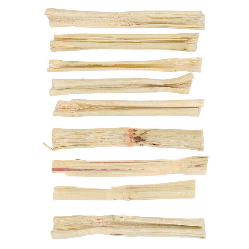 100g Sweet Bamboo Hamster Parrot Guinea Pig Snacks Cleaning Teeth Molar C.l8