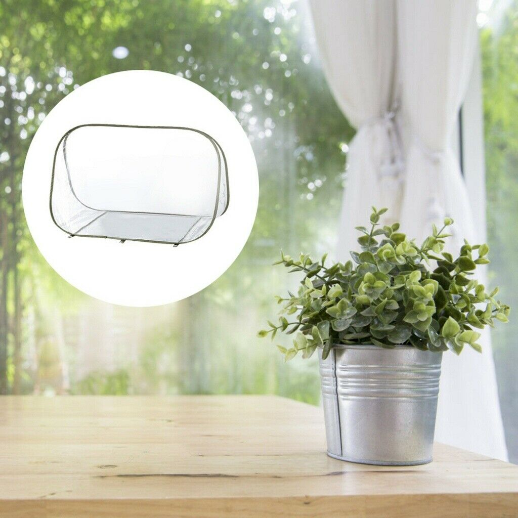 Foldable Greenhouse Cover Flower House Pop Up Mini Gardening Plant Room New