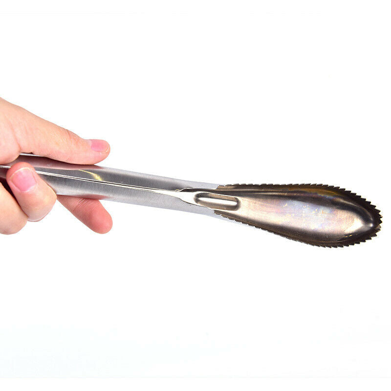 1PC Stainless Steel Fish Scale Remover Cleaner Scaler Scrapers & Kitchen .l8