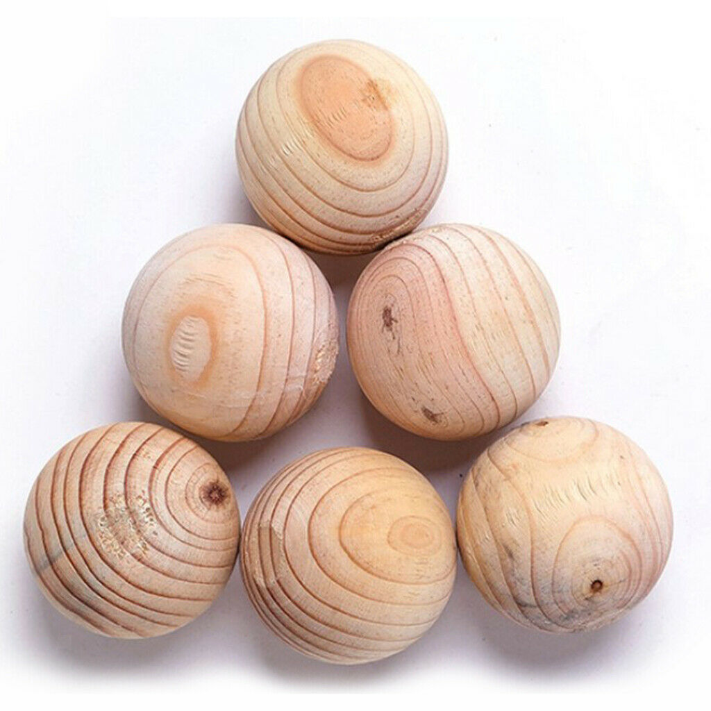 Round Driftwood Rustic Wood Shaped for Northumbrian Coastline DIY Decorating