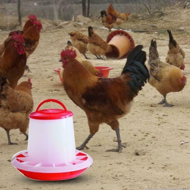 Hanging Chick Feeder Durable Automatic Poultry Food Dispenser for Chicken 6.6Lbs