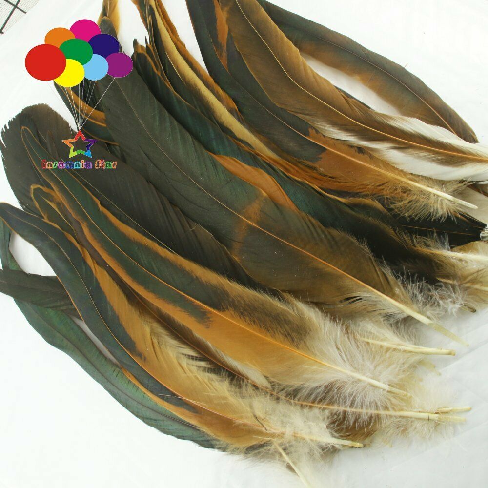 Natural 100 Pcs 12-14 Inch/ 30-35 cm Cock Chicken Tail Feathers DIY Crafts