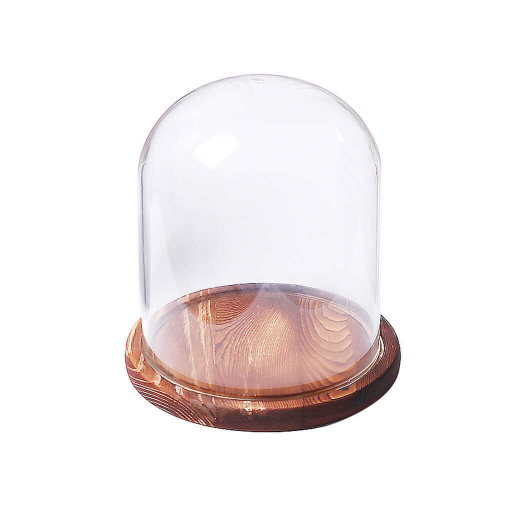 18cm  Transparent Stand Glass Flower Vase Landscape Bottle Ball Vase