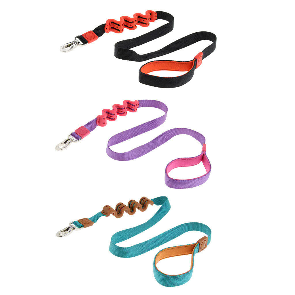 Pet Dog Walking Training Belt Bungee Leash Anti-Shock Stretch Rope Black