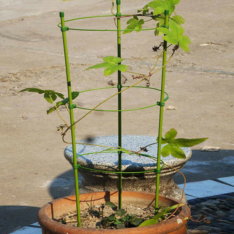 Vine Climbing Rack 60cm Flower Plant Trellis Plant Support Frame Garden JCAUJ NL