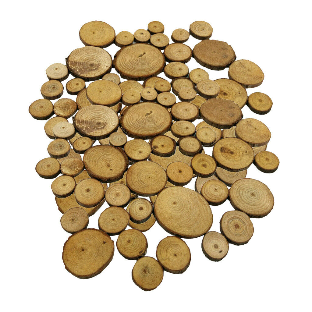100x Wood Tree Slices Disc Pine Tree Log Plaques for Drawing Paintings 2-4cm