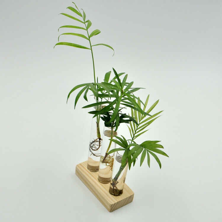 Creative Home Wedding Ornaments 3Pieces Test Tube Flower Vase Pot + Wooden Base