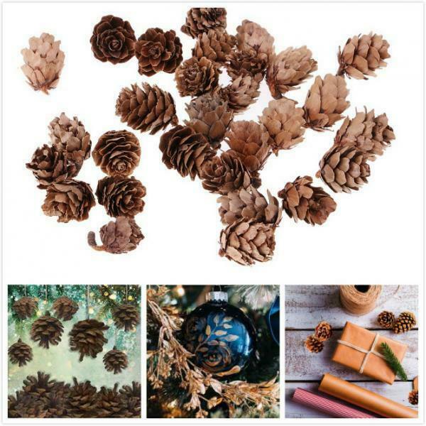 30Pcs Natural Dried Pine Cones Mini Size for Vase Filler Crafting Decoration