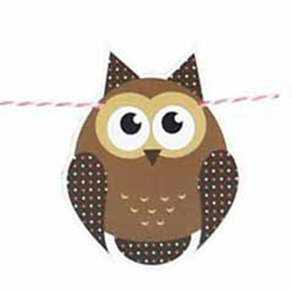cartoon owl paper flag birthday party decoration banner bunting for childr.l8