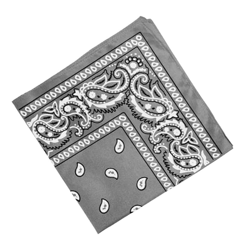2Pcs Women Men Cotton Paisley Print Paisley Bandana Head Wrap Neck Hair Band