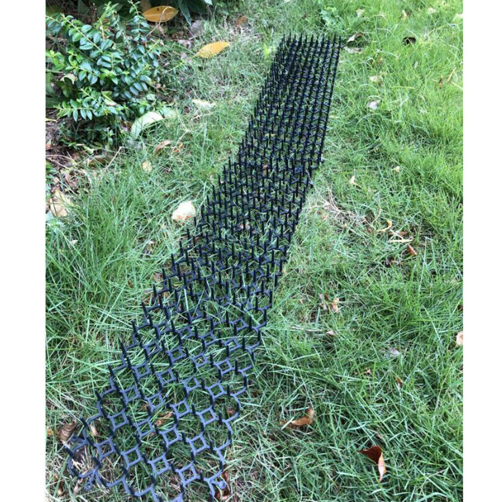 10pcs Cat Deter Mat Repellent Mats Prevents Pet Away For Plants Flower