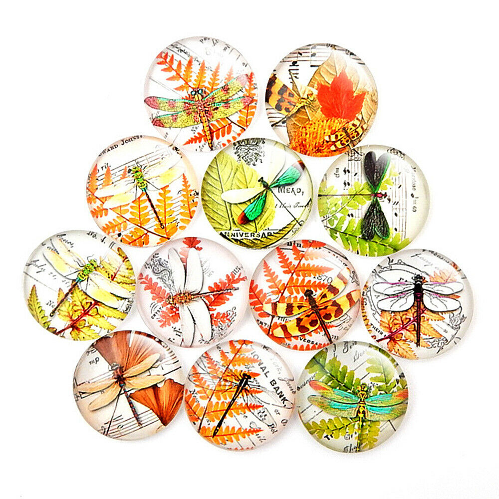 10X Insect Needle Minder Keeper Glass Magnet Cross Stitch Embroidery Sewing DIY