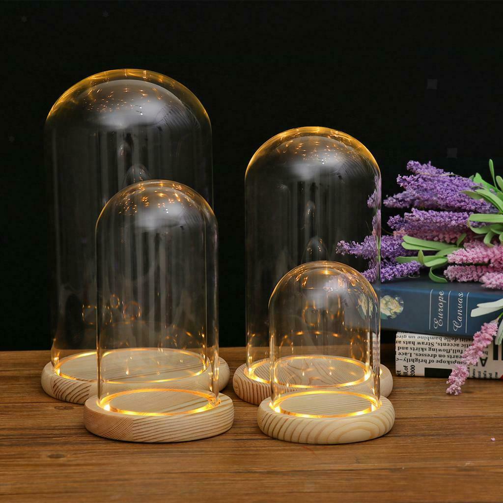 Clear Glass Display Dome with LED Wood Base Microlandscape Holder E 12x12cm