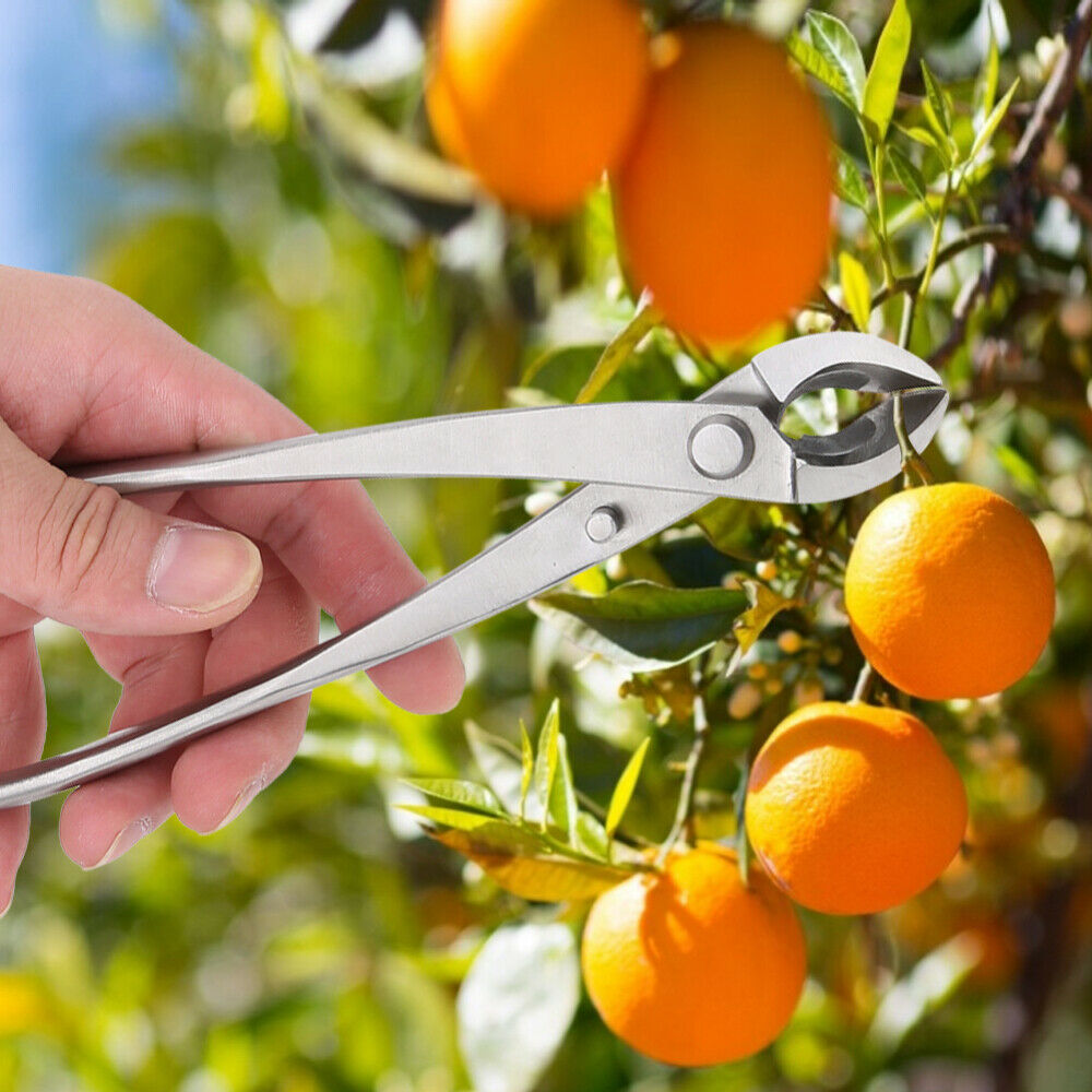 Garden Knob Cutter Beginner Branch Bonsai Tool Concave Cutter Round Edge Cutter