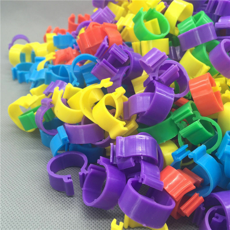 100 Bird Leg Bands 8mm Pigeon Chicks Bantam Poultry Rings Multicolor