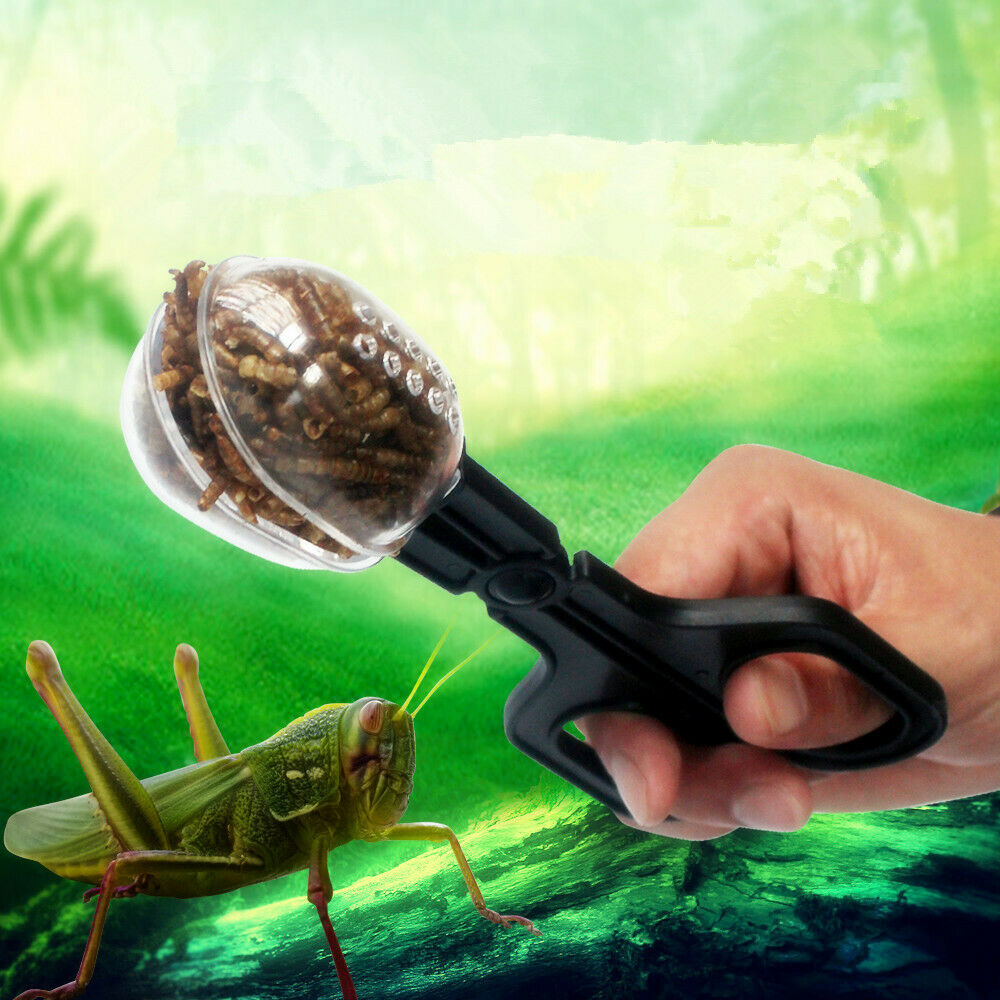 ABS Straight Nippers Tweezers Feeding Tongs with Holder Bowl for Reptile Snakes