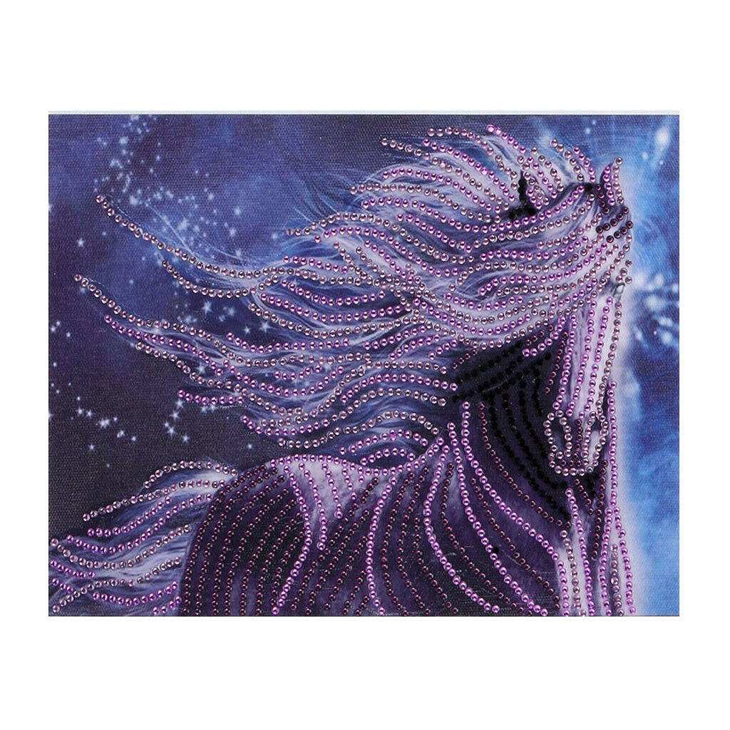5D DIY Special Shaped Diamond Painting Pictures Mosaic Crafts Horse
