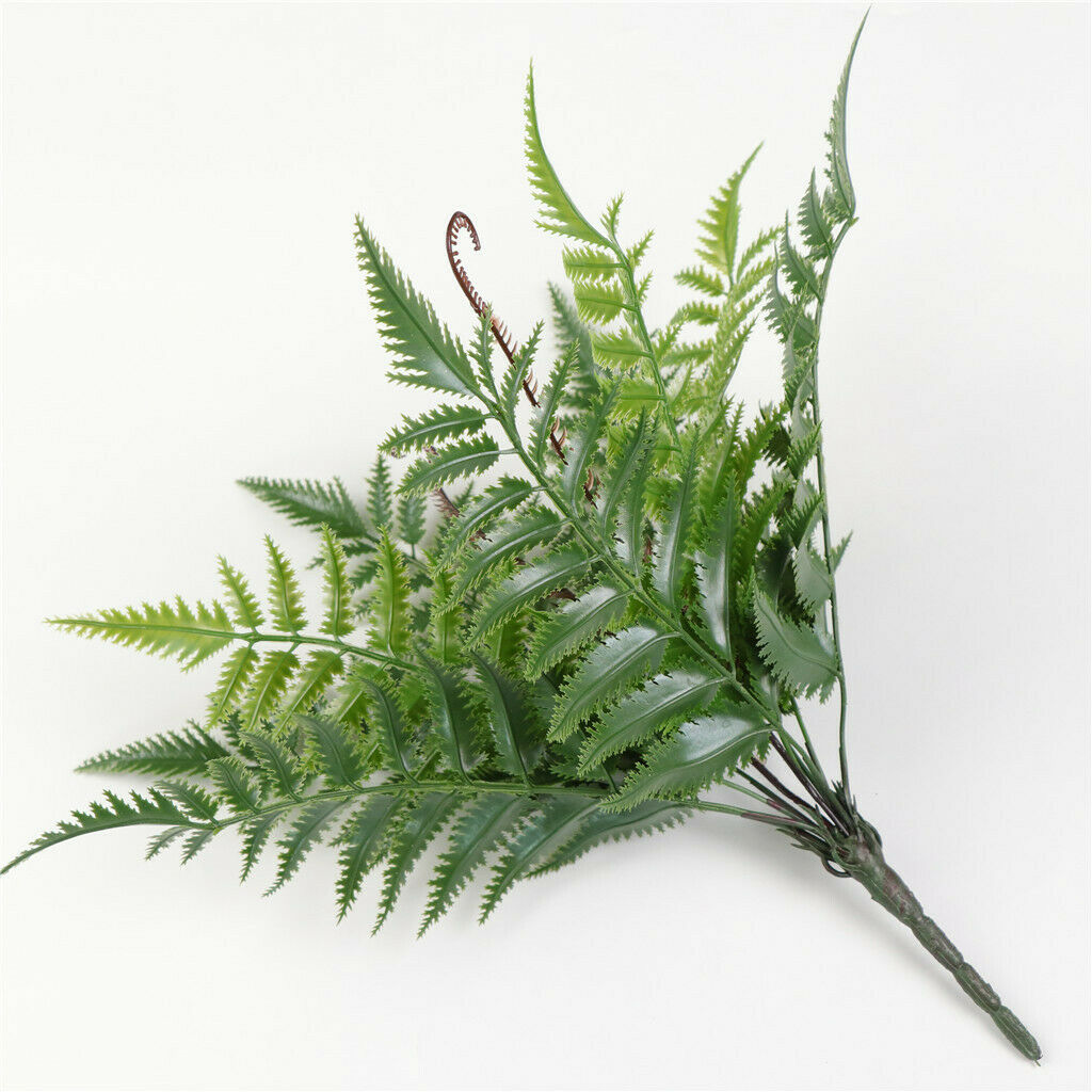Natural Real Dried Leaves Press Dry Ferns Leaves for Nail Art Decor DIY