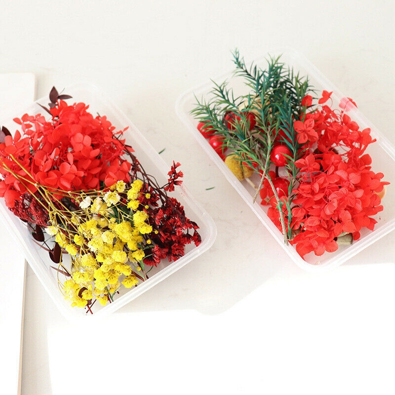 Real Dried Flowers For Diy Candle Making Jewellery Decorative Dry Press Flow KX